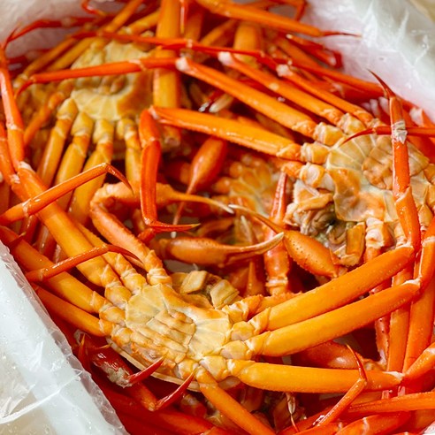 산지직송 구룡포 수율선별 홍게, 1개, 꽉찬홍게 수율80% 5kg[16-20미]