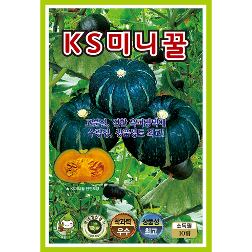 호박 씨앗 모음 종자 맷돌 쥬키니 미니꿀, 2개