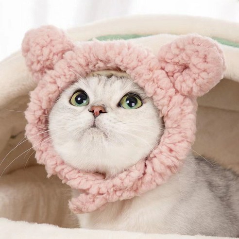 귀여운 튀김모자 강아지 고양이 재밌는 새우튀김 코스프레 모자, 밤색