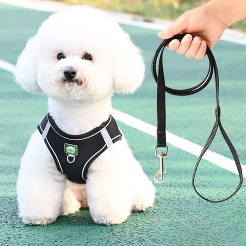 디아쿠아 강아지 고양이 겸용 바디 플러스 하네스+리드줄, 블랙