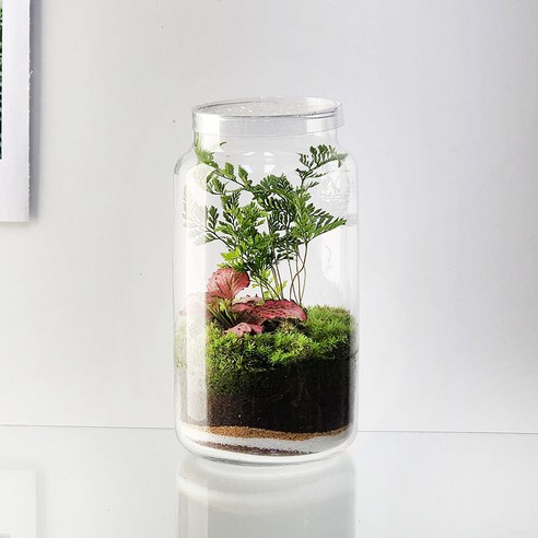 잎새몰 이끼 키우기 테라리움 원예 수업 DIY 키트 만들기 (사은품: 핀셋20~30cm), 원통0820 키트(내츄럴), 1개