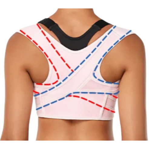 굽은어깨와 말린어깨를 교정하고 건강을 개선하는 에인랩 자세교정밴드