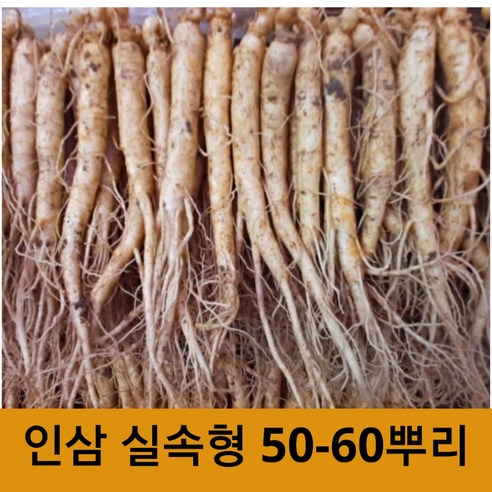 수삼 인삼 실속형인삼 햇 인삼 (50-60뿌리), 2개