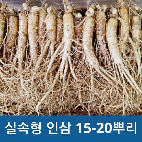 금산 국내산 인삼 실속형 5년근실속형 350g 750g (옵션선택), 750g16-20뿌리, 1개