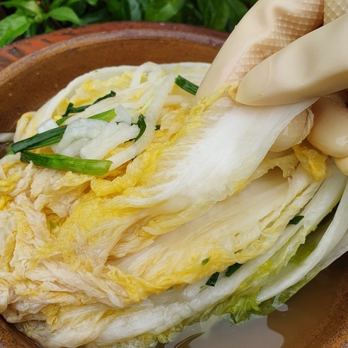 신선한 재료로 만든 시원하고 깔끔한 백김치