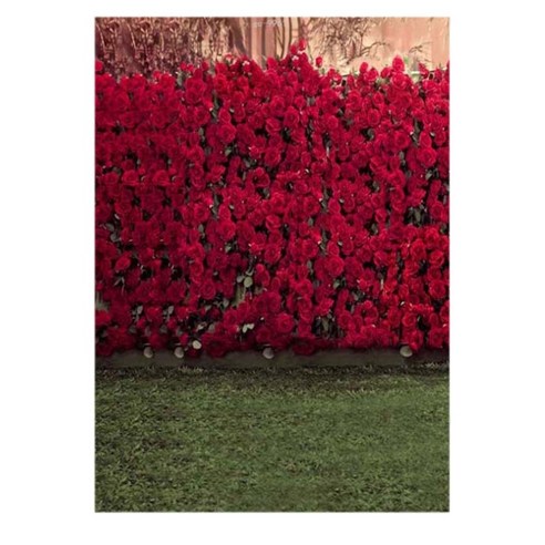AFBEST 7x5ft 사진 배경 장미 꽃 푸른 잔디 테마 스튜디오 천으로 가족, 사진 색상