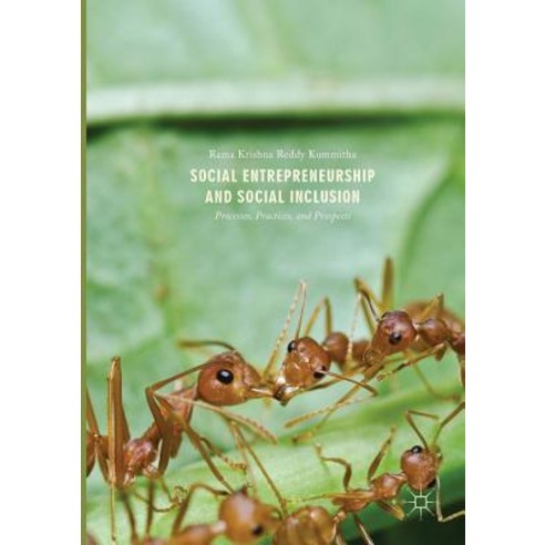 (영문도서) Social Entrepreneurship and Social Inclusion: Processes Practices and Prospects Paperback, Palgrave MacMillan, English, 9789811094019