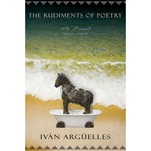 The Rudiments of Poetry: New Poems 2017-2018 Paperback, Sagging Meniscus Press