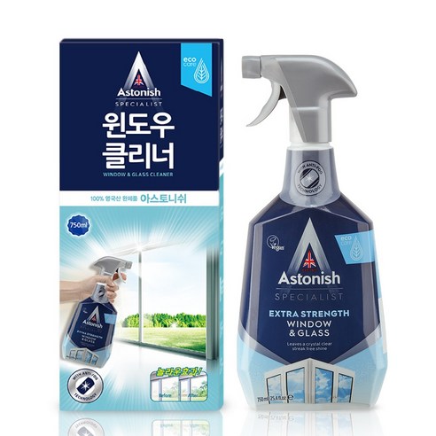 아스토니쉬 스페셜리스트 윈도우 클리너 750ml, 1개