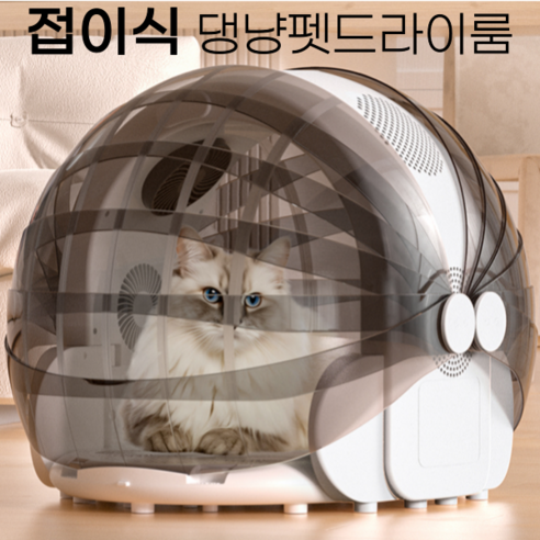 반려동물의 건강과 편안함을 위한 최고의 선택: 댕냥 펫드라이룸