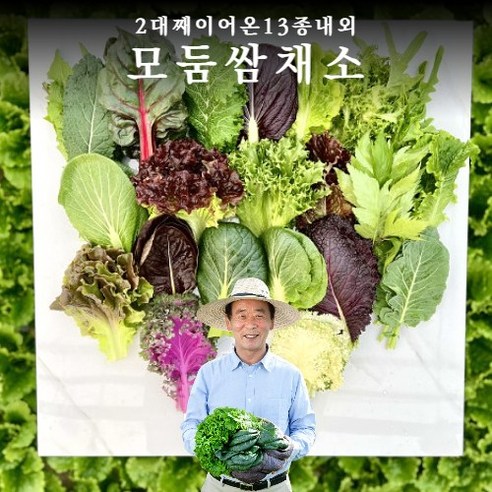 최대 13종류 모둠 쌈채소 1kg 600g, 쌈채소1kg, 13개