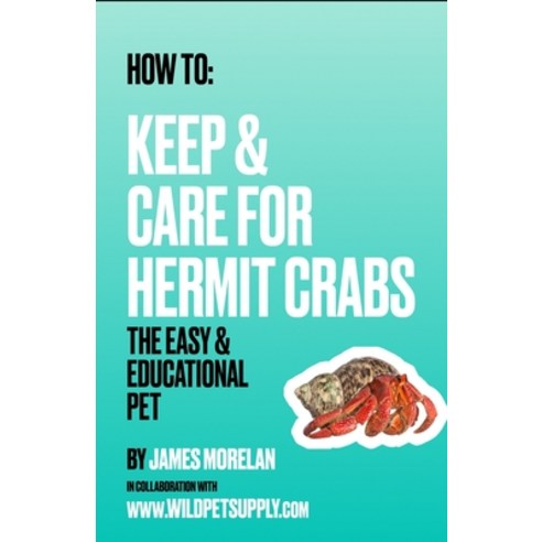 (영문도서) How To: Keep & Care for Hermit Crabs: The Easy & Educational Pet Paperback, Independently Published, English, 9798877799295