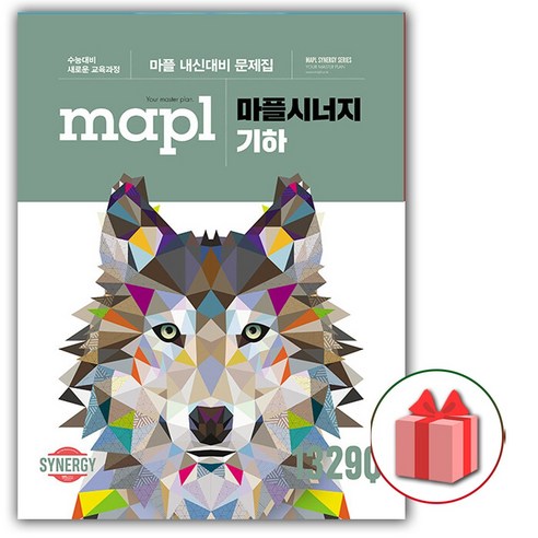 선물+2024년 마플 시너지 고등 기하