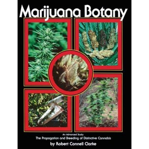 Marijuana Botany: An Advanced Study: The Propagation and Breeding of Distinctive Cannabis Paperback, Ronin Publishing (CA)