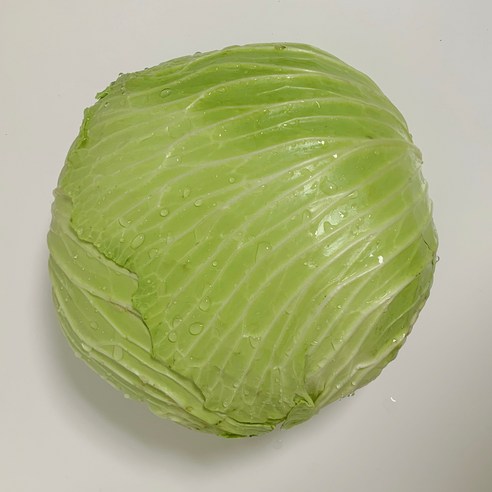 바르다야채 국내산 양배추 1통 (2.5kg~3.5kg)무료배송, 2.5~4kg내외, 2개