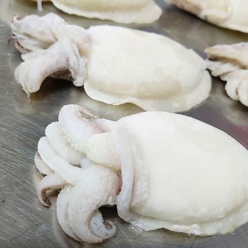 신선한 갑오징어로 맛있고 편리한 요리를 즐기세요
