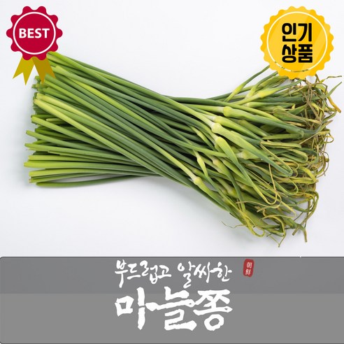 허니비 당일작업 당일선별 최상급 마늘쫑, 1개, 400g