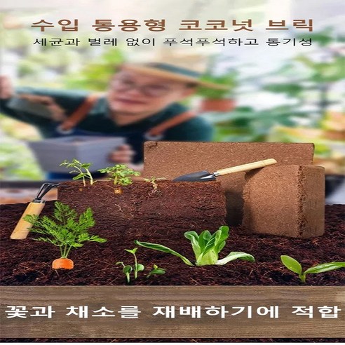 10년의 기다림, 코코넛 브릭 영양토로 싱그러움을 가꾸세요.