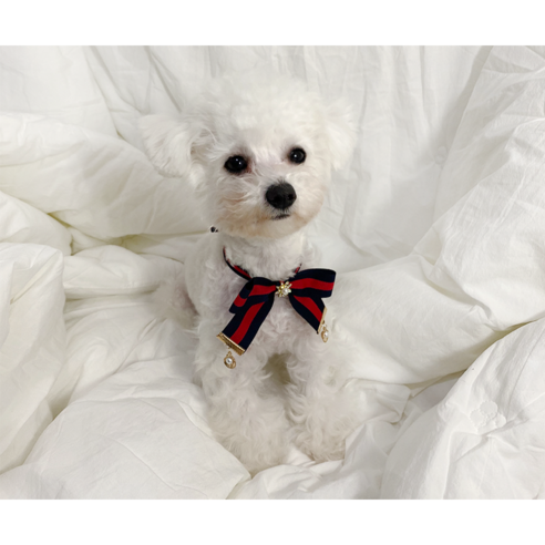 [데댕] 강아지 고양이 명품 리본 케이프, 네이비