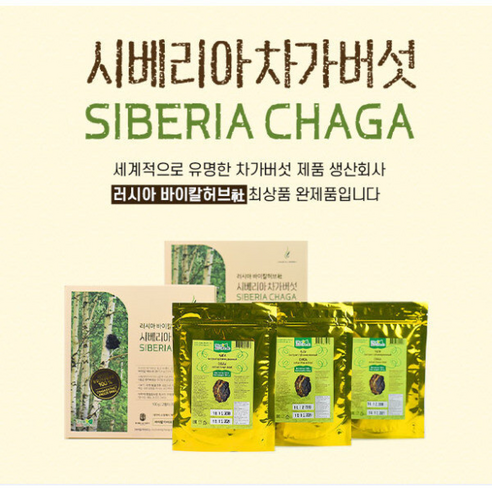 차가버섯 추출 분말 프리미엄 시베리아차가버섯 바이칼라이프