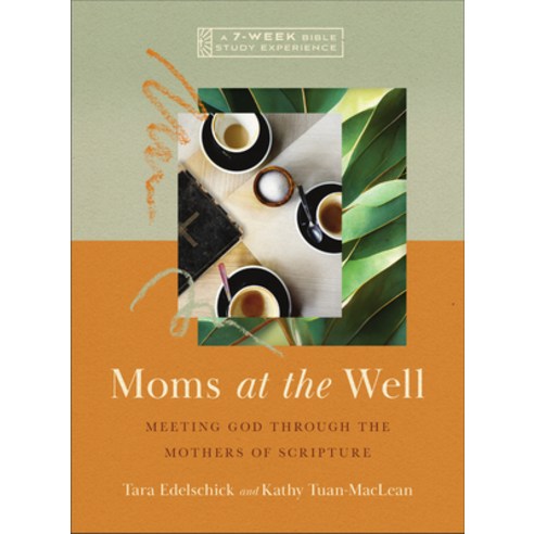 (영문도서) Moms at the Well: Meeting God Through the Mothers of Scripture--A 7-Week Bible Study Experience Paperback, IVP Bible Studies, English, 9781514006788