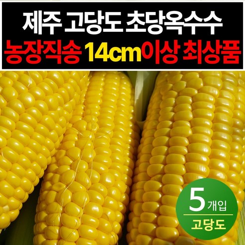 제주 농장직송 고당도 초당옥수수 최상품 20개입, 14CM이상, 1개 흑찰옥수수 제주 농장직송 고당도 초당옥수수 최상품 20개입, 14CM이상, 1개 흑찰옥수수