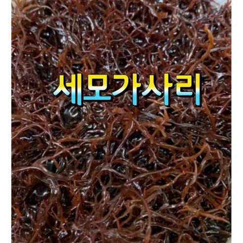 완도산 세모가사리 가시리 샐러드 해초류 세모가사리100g9800, 9개