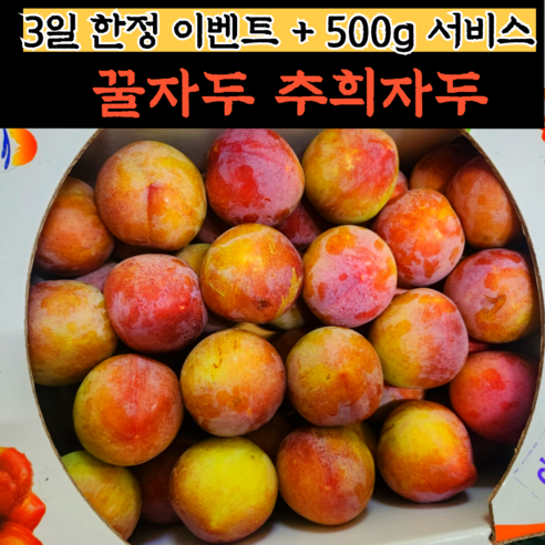 꿀과즙 좌르륵 자두 생자두 왕자두, 4kg, 1개