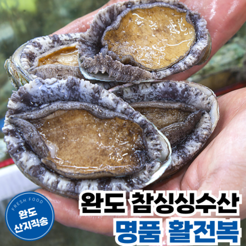 [완도참싱싱수산] 산지직송 당일채취 산소포장 명품 활 전복, 1개, 500g (왕특대 4~5미)