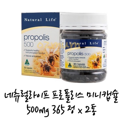 네츄럴 라이프 프로폴리스 500mg 365정 3통 프로폴리스 치약 증정, 3개