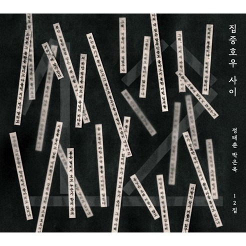 [CD] 정태춘 박은옥 - 12집 : 집중호우 사이
