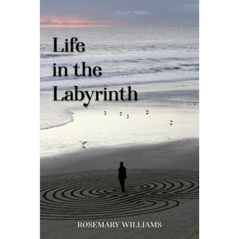 (영문도서) Life in the Labyrinth Paperback, Savvy Book Marketing, English, 9781915662026