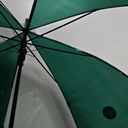 싱그러움을 담은 투명한 오후, 스타벅스 투명 우산 그린 25 스타벅스우산