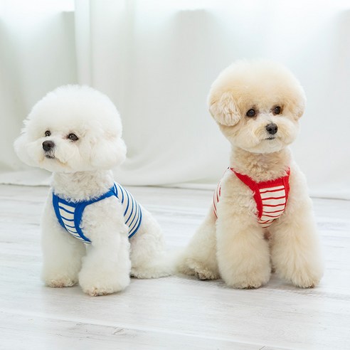 펫츠랜드 꾸안꾸 크롭 티셔츠, 옐로우