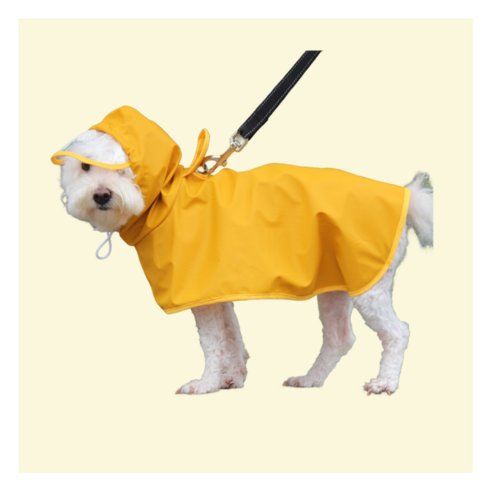 대형견과 진돗개를 위한 완벽한 방수 애견 레인코트