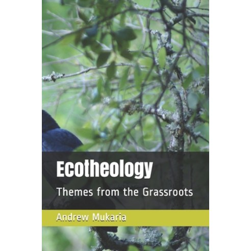 Ecotheology: Themes from the Grassroots Paperback, Independently Published