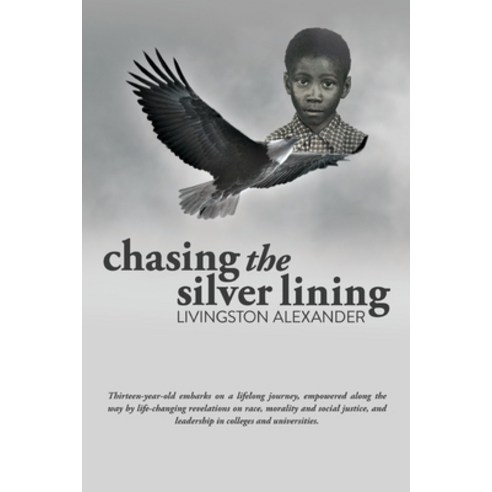 (영문도서) Chasing the Silver Lining Paperback, 220 Publishing, English, 9781513686370