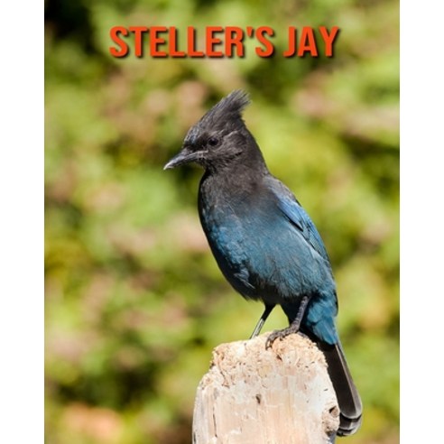 Steller''s Jay: Amazing Facts about Steller''s Jay Paperback, Independently Published, English, 9798551764793