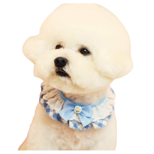 하니펫 반려동물 귀요미스카프 큐티체크프릴, 파랑, 1개
