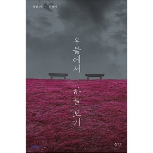 우물에서 하늘 보기:황현산의 시 이야기 - 독서 에세이 | 쿠팡