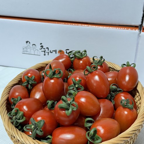 충구네도마도 대추 방울토마토 2.5kg 5kg 산지직송 당일수확, 2.5kg (소과), 1개