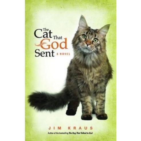 The Cat That God Sent Paperback, Abingdon Press, English, 9781426765612