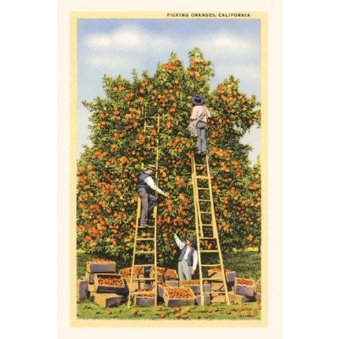 (영문도서) Vintage Journal Picking Oranges in California Paperback, Found Image Press, English, 9781648114878