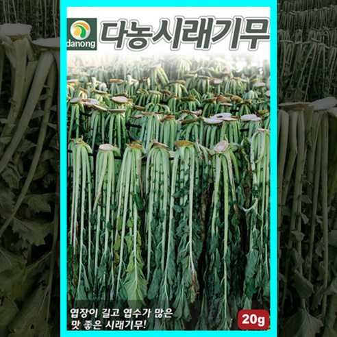 김장 무 배추 양파 쪽파 시금치 부추 파 고들빼기 춘채 청갓 적갓 씨앗 여름가을 8월9월 파종작물채소 씨 다농 종자 야채 심는시기 엽채류 근채류, 14.고려금동이미니배추 300립, 1개