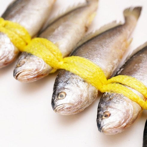 [유자네] 반건조 부세조기 5미(1kg내외 25~30cm), 단품