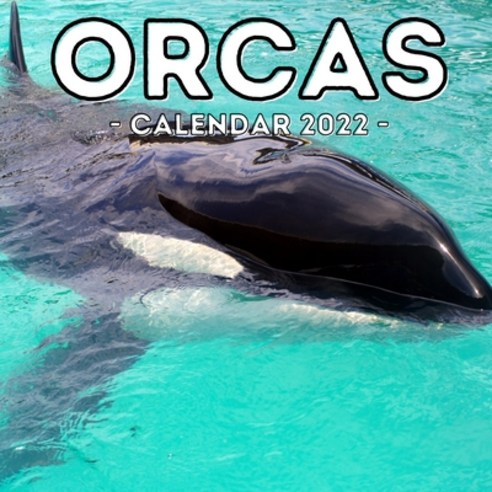 (영문도서) Orcas Calendar 2022: 16-Month Calendar Cute Gift Idea For Killer ...
