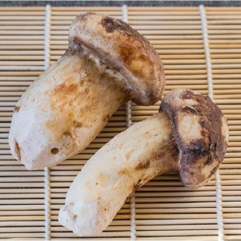 백두산의 숨결, 자연산 냉동 송이버섯으로 풍요로운 가을을 맛보세요.