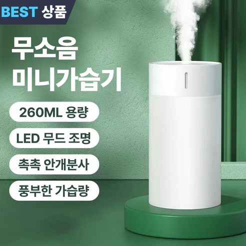 베리딧 무소음 미니 이동식 초음파 촉촉 가습기 260ml, 베이비핑크