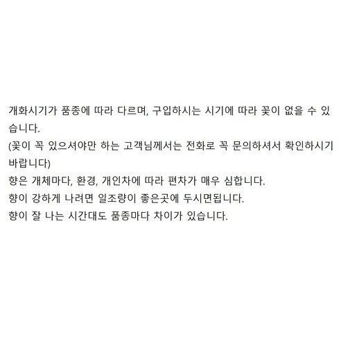 저렴하게 즐기는 꽃멍, B급 호접란으로 시들해진 공간에 생기를 불어넣다.