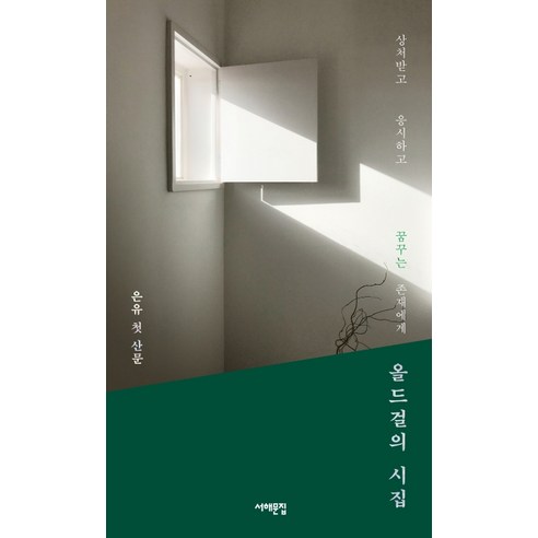 올드걸의 시집:상처받고 응시하고 꿈꾸는 존재에게 | 은유 첫 산문, 서해문집